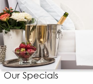Package Specials /></a></div>
		</div></section>
<section id=